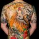 Tetovaža zmaja in tigra.  Pomen tetovaže zmaja.  Kaj pomeni tetovaža zmaja?