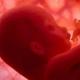 Muaji i shtatë i shtatzënisë: zhvillimi i fëmijës Si duket një fëmijë në 7 muaj